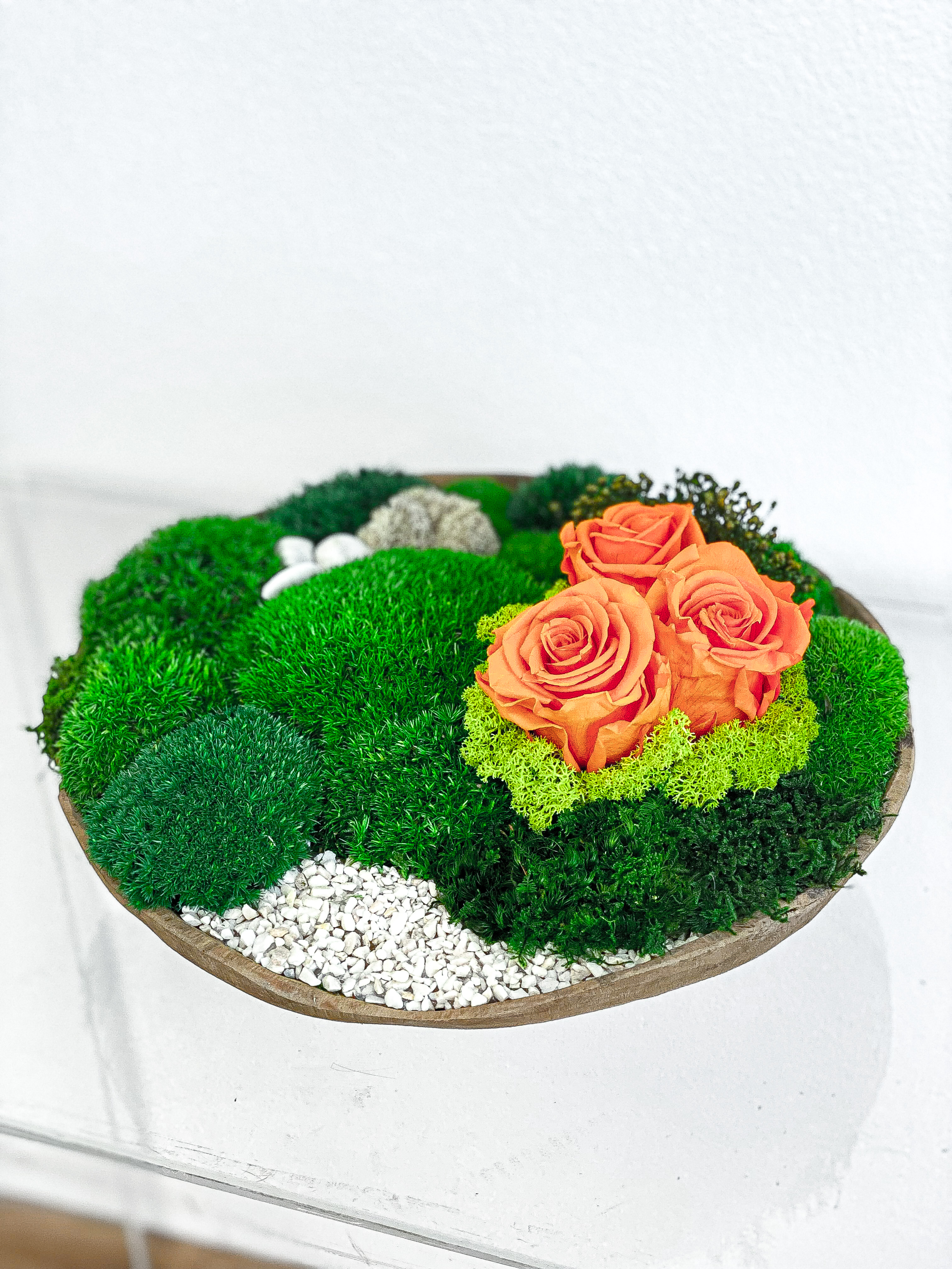 Dřevěná miska s mechem a stabilizovanými růžemi